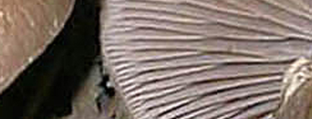 Quiz...di media difficolt�